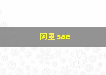 阿里 sae